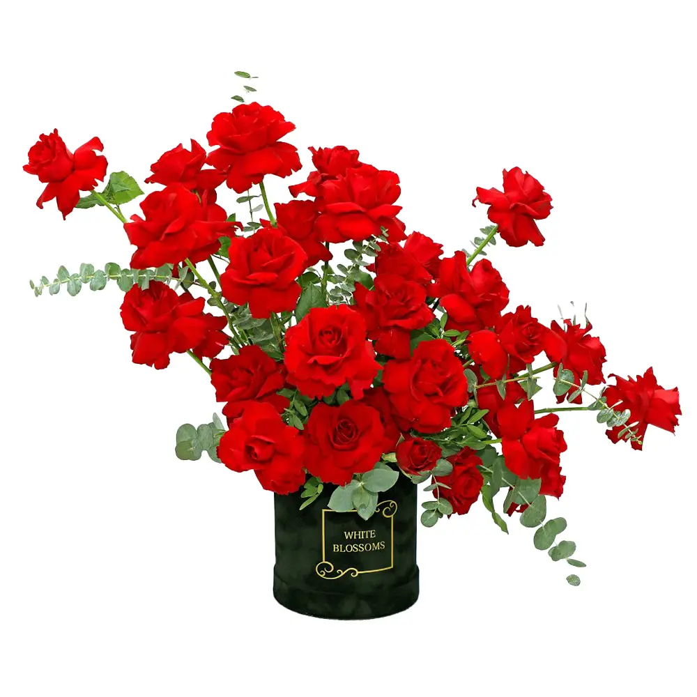 Box of Enchanting Roses