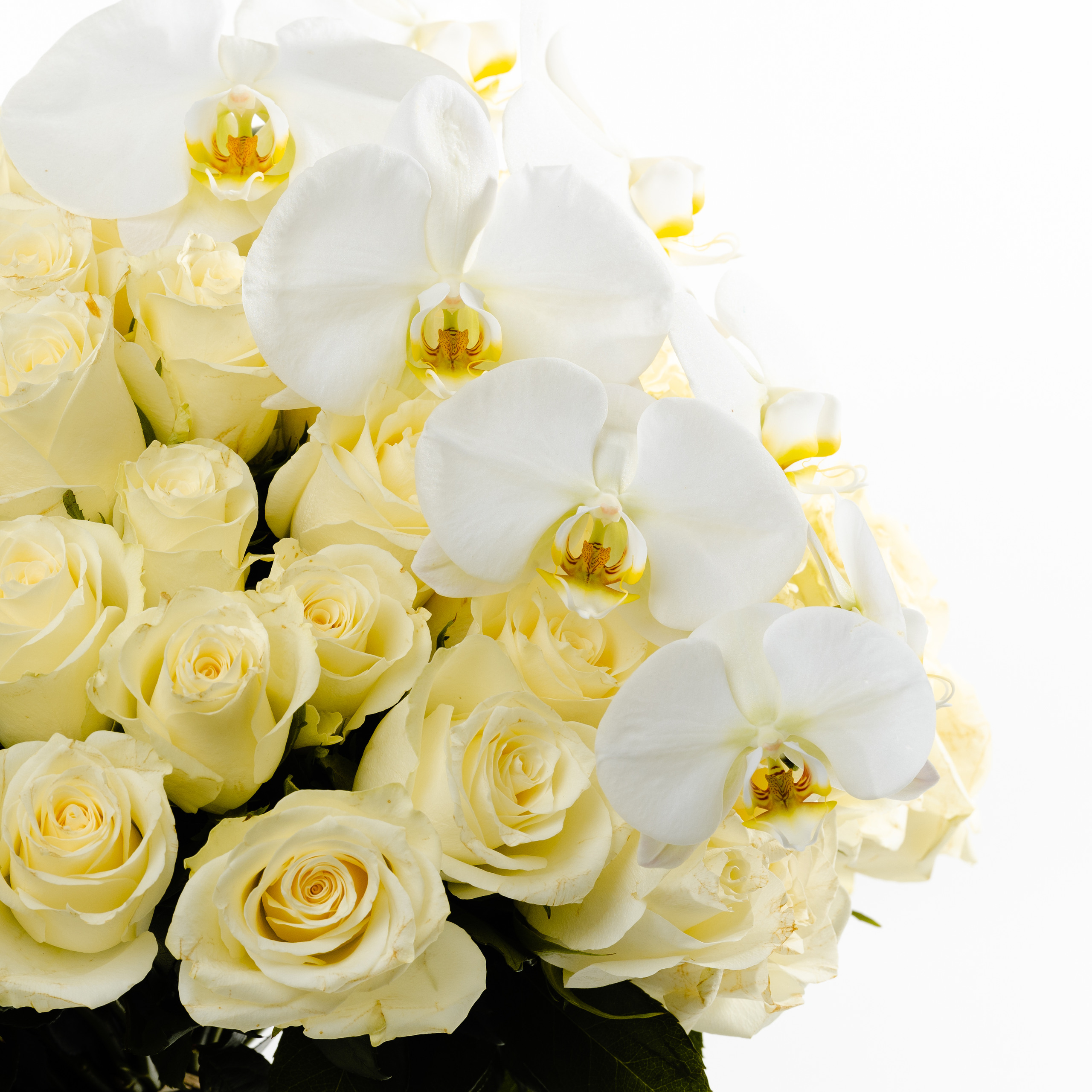 White Rose Bouquet - Image 3