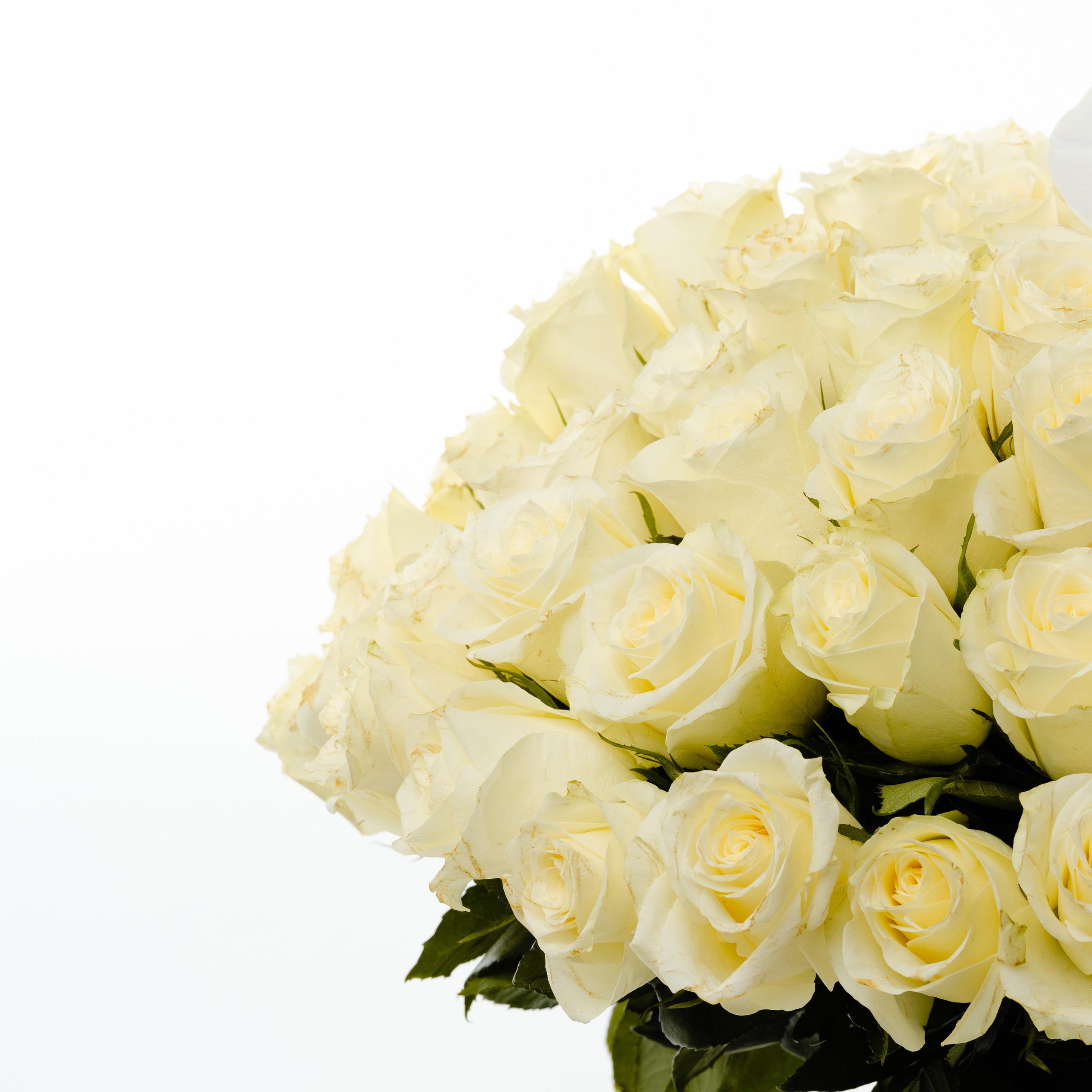 White Rose Bouquet - Image 4
